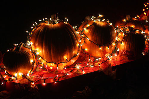 Light decorated pumpkins
