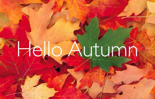 Hello autumn Hello autumn
