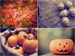 Fall Collage Fall Collage