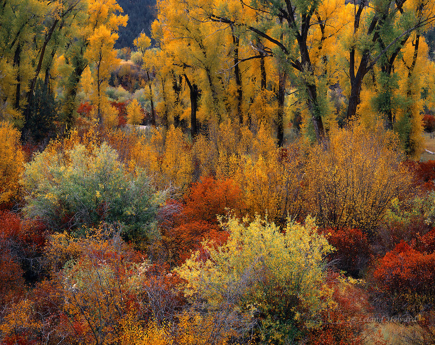 Autumn in Idaho Autumn in Idaho