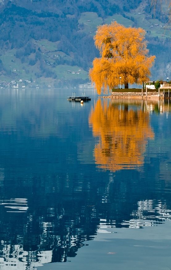 Autumn on the Water Autumn on the Water