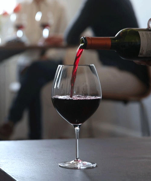 To us..cheers! Salut!
