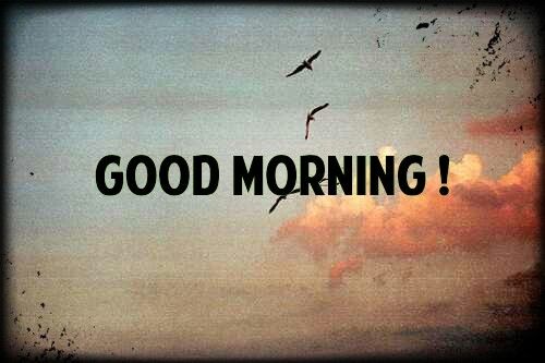 Good Morning Good Morning