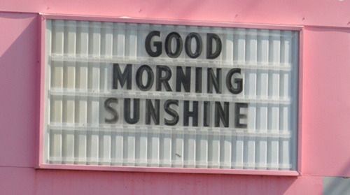 Good morning sunshine Good morning sunshine