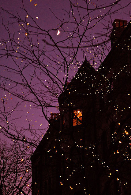 Halloween tree lights Halloween tree lights