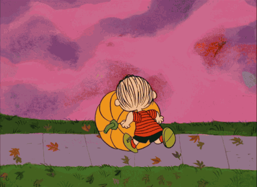 Rolling pumpkin Rolling pumpkin