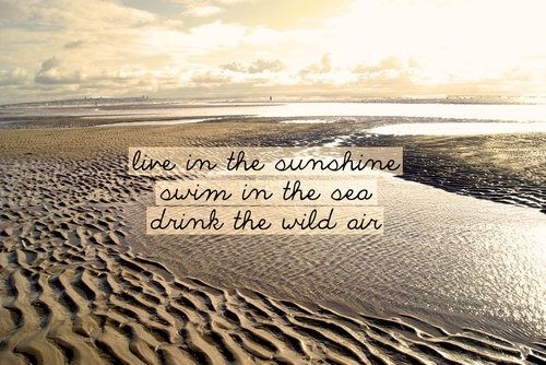 Live in the sunshine