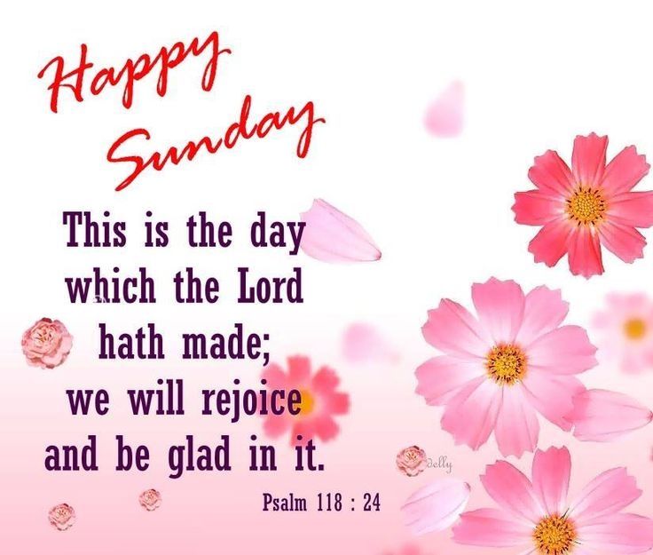 Happy Sunday