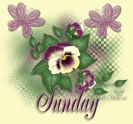 Sunday Sunday