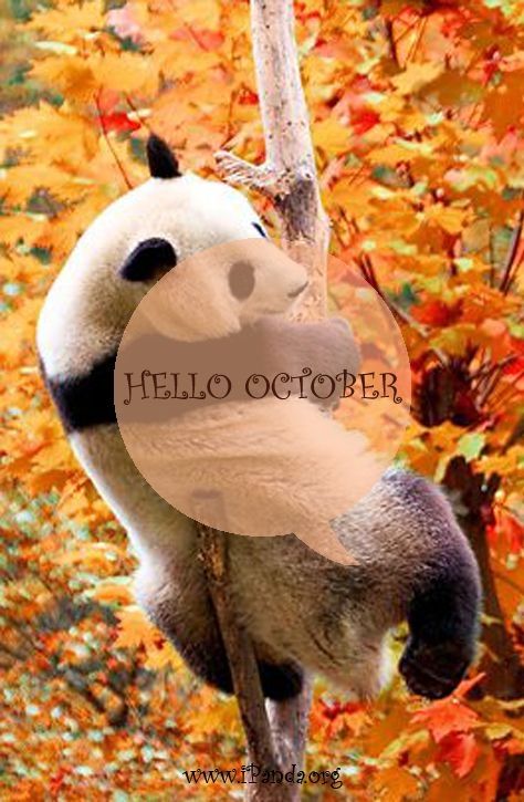 Hello October Hello October