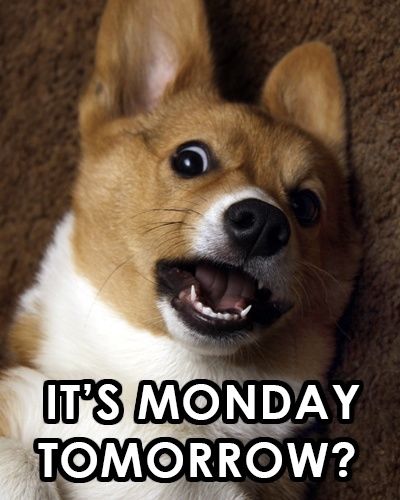 It's Monday Tomorrow