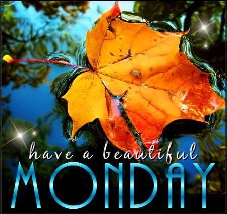 Have a beautiful Monday