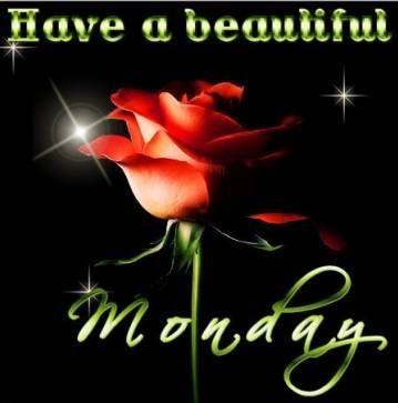 Have a beautiful Monday Have a beautiful Monday