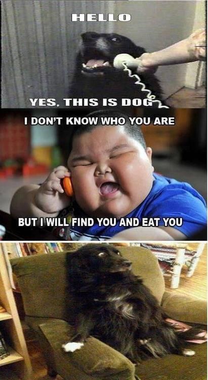 I will find you