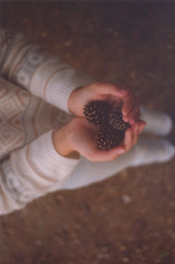 Pinecones