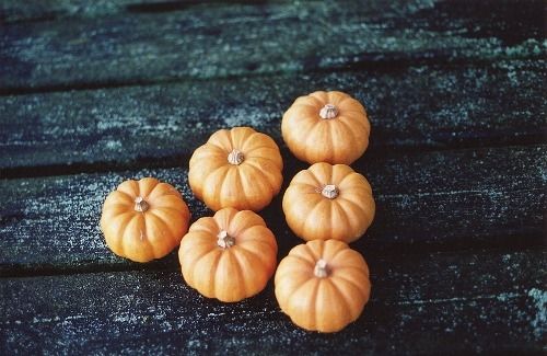 Mini pumpkins Mini pumpkins