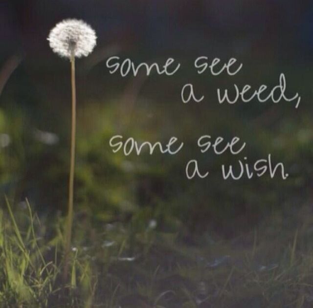 Some See 