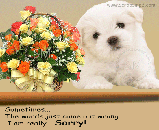 Sometimes the words just come out wrong...I am really sorry! Sometimes the words just come out wrong...I am really sorry!