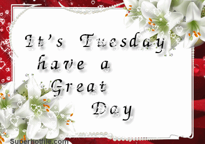 It's Tuesday Have a Great Day