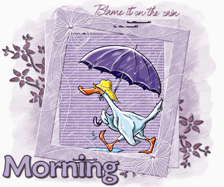 Morning Blame it on the Rain