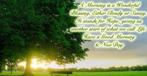 A morning is a wonderful blessing... A morning is a wonderful blessing...