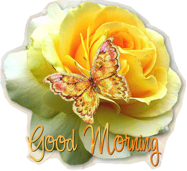 Good Morning Good Morning