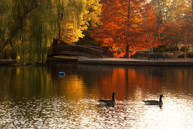 Fall at the Lake Fall at the Lake