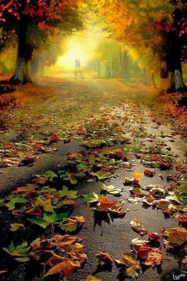 Autumn glow