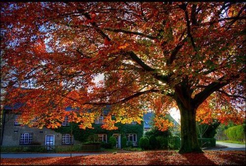 Autumn Home Autumn Home