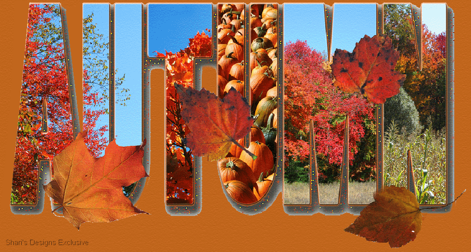 Autumn Autumn