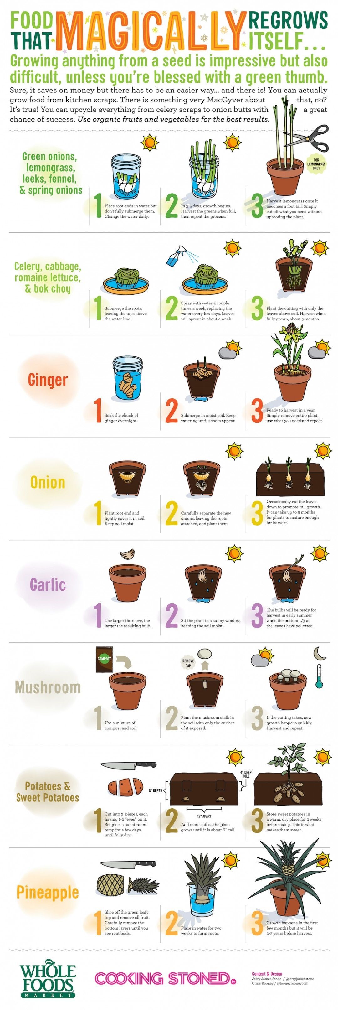 Food that regrows itself