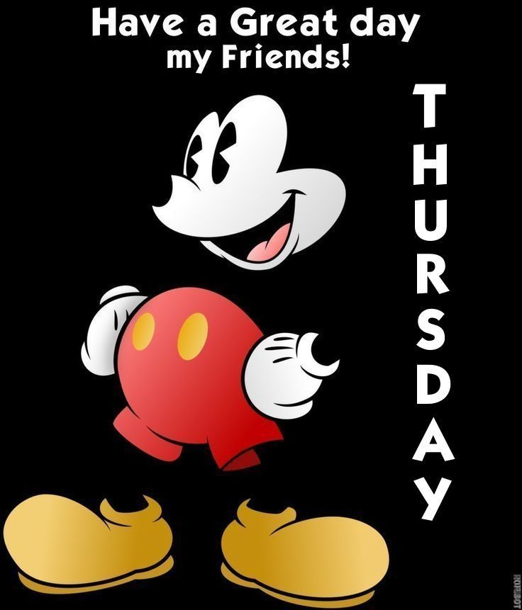Have a great Thursday Have a great Thursday