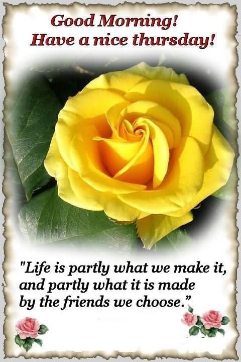 Good Morning! Have a Nice Thursday!