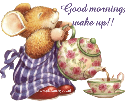Good Morning Wake Up Good Morning Wake Up