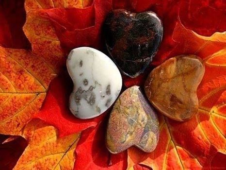 Leaf and stone