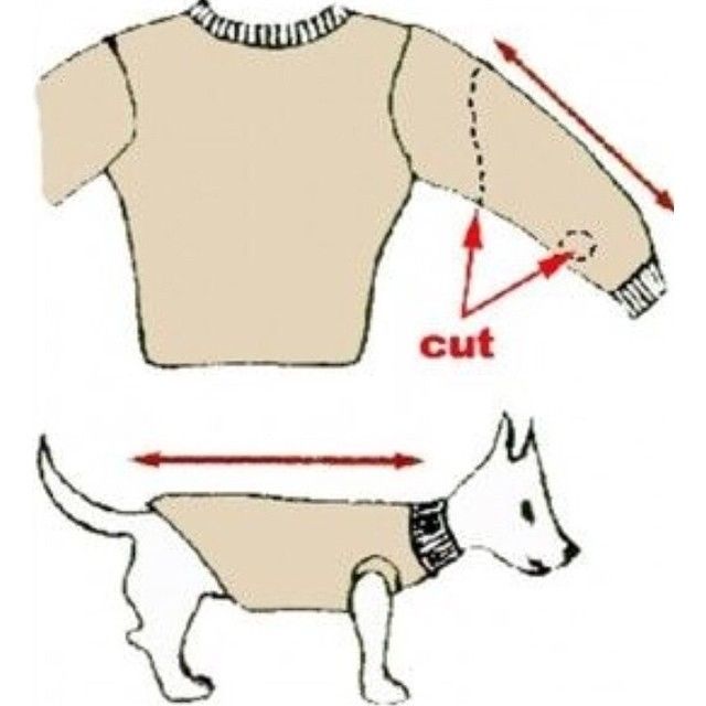 Turn Old Sweater Into Pet Clothes
