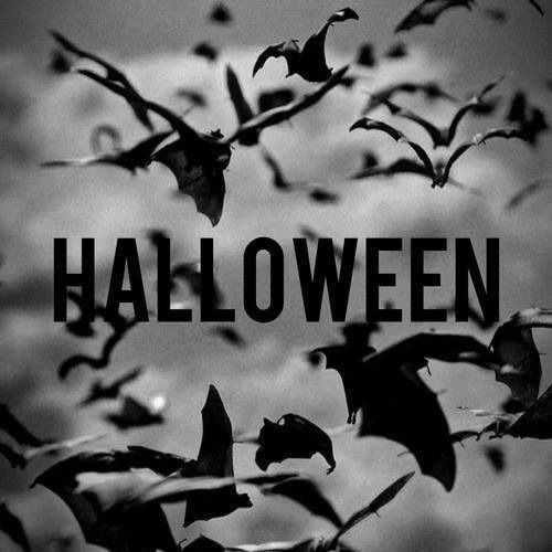 Halloween Halloween
