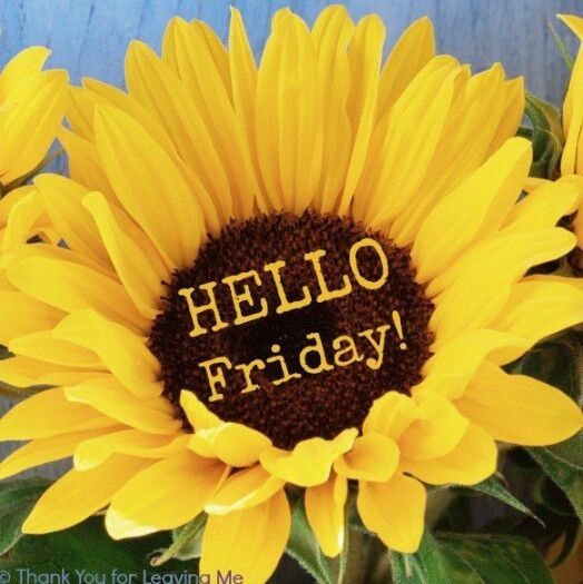 Hello Friday Hello Friday