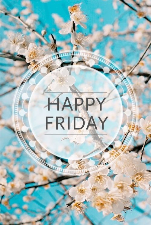 Happy Friday Happy Friday