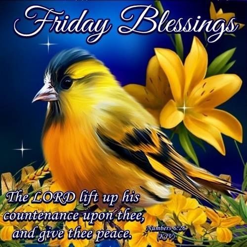 Friday Blessings Friday Blessings