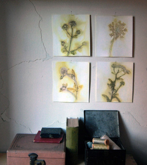 DIY Wildflower Wall Art