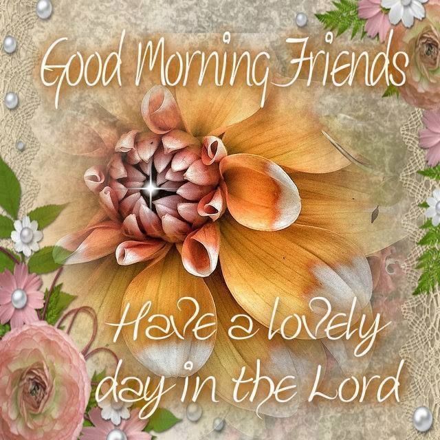Good Morning Friends