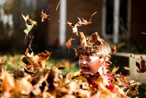Kid playing in the leaves Kid playing in the leaves