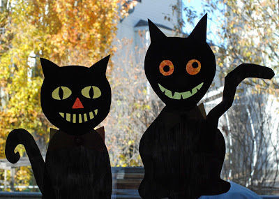 Halloween crazy cats