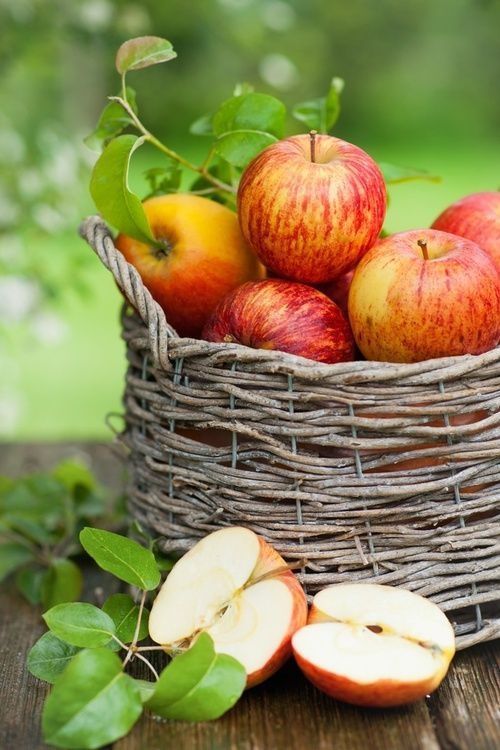 Basket of Apples