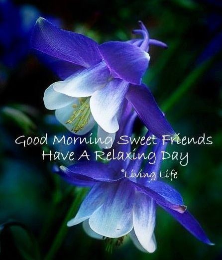 Good Morning