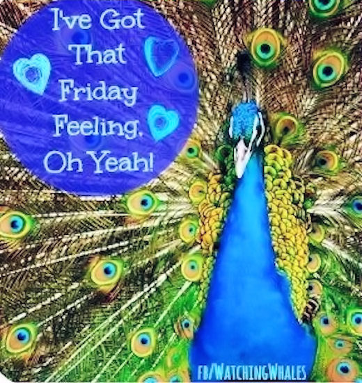 I've got that Friday feeling I've got that Friday feeling