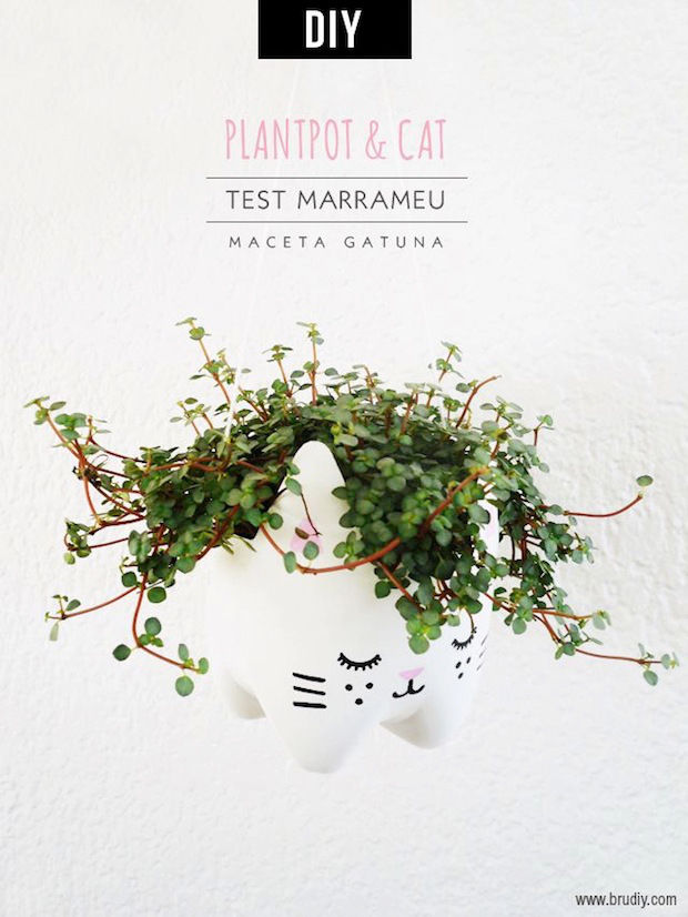 Plastic Botle Cat Planter