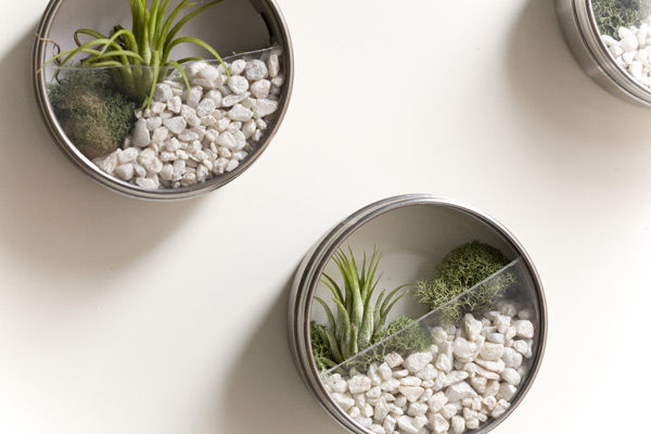 DIY Wall Garden Favors DIY Wall Garden Favors
