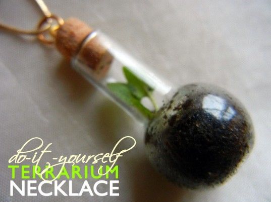 DIY Terrarium Necklace